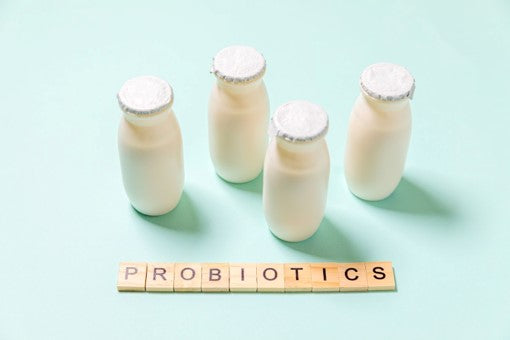 ¿Cuáles son los probióticos que todo el mundo debería tener para mantener su salud y bienestar?
